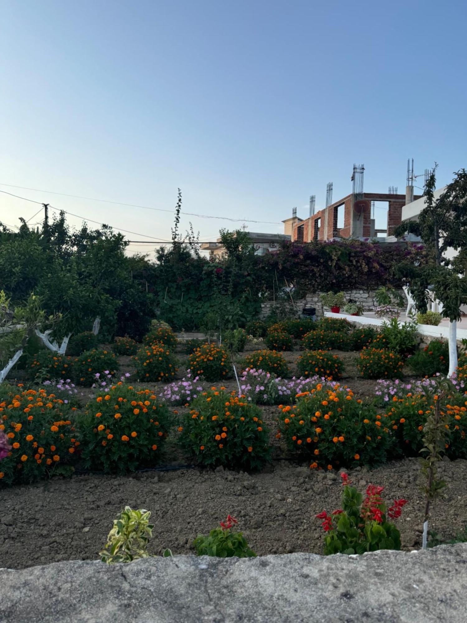 Teo Apartment Saranda Zewnętrze zdjęcie